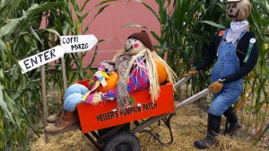 Scarecrow in wheelbarrow